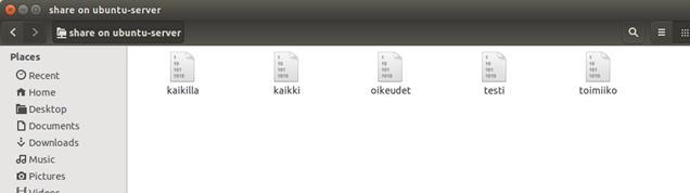 Kuvio 49. Samba hakemisto Tässä Windows Server puolella määritellään verkkolevyn hakemisto ja miksi asemakirjaimeksi jaettu kansio tulee.