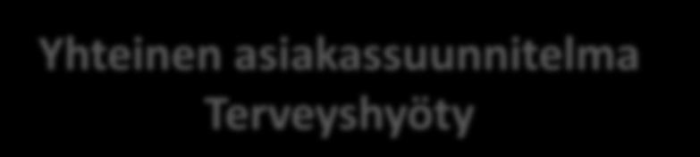 Monisairaan hoitokokonaisuuden hallinta perustasolla (Tays ERVA) POTKU (potilas kuljettajan paikalle) hanke: terveyskeskuksissa Hoitoketjukuvaus Valmisteleva vastaanotto Terveys- ja hoitosuunnitelma