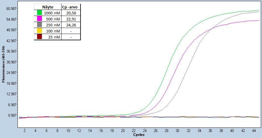 18 Kuva 5. Alukelaimennostesti. Alukekonsentraation vaikutus Cp-arvoon. Tämän jälkeen siirryttiin RT-qPCR-menetelmään, jossa vertailtiin eri RTentsyymien toimintaa ja herkkyyttä.