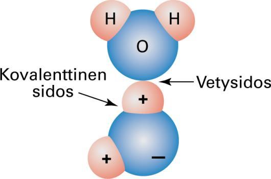 varausten kautta proteiini Proteiinin lämpötila pysyy samana kuin