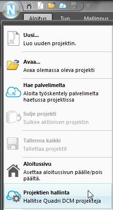 Palvelinprojekti: Palvelinprojektin varmuuskopion polun näkee Projektin ominaisuuksista.