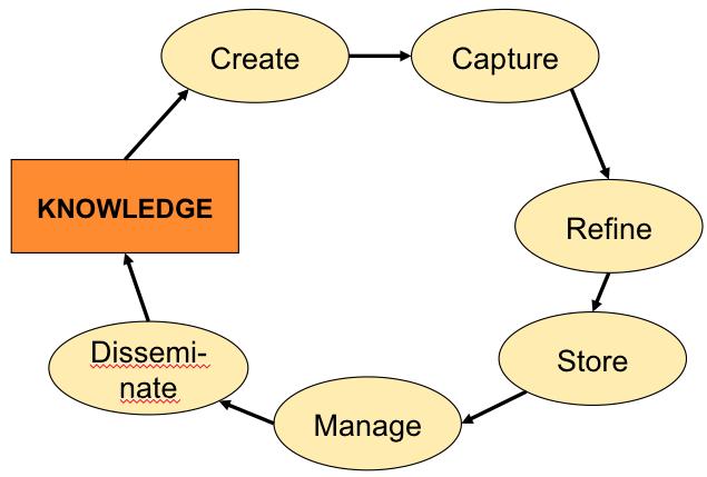 Knowledge management strategies Organizations should have an explicit strategy for the management of knowledge resources Codification strategy: knowledge is carefully organized and stored in