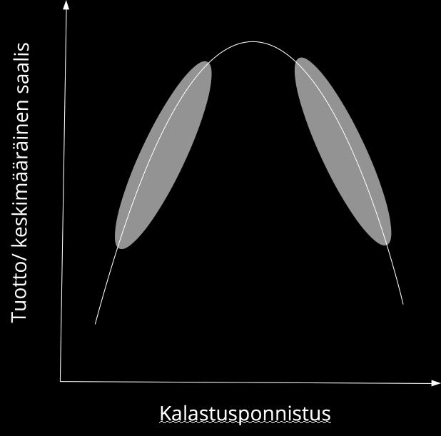 Mikä siis neuvoksi?