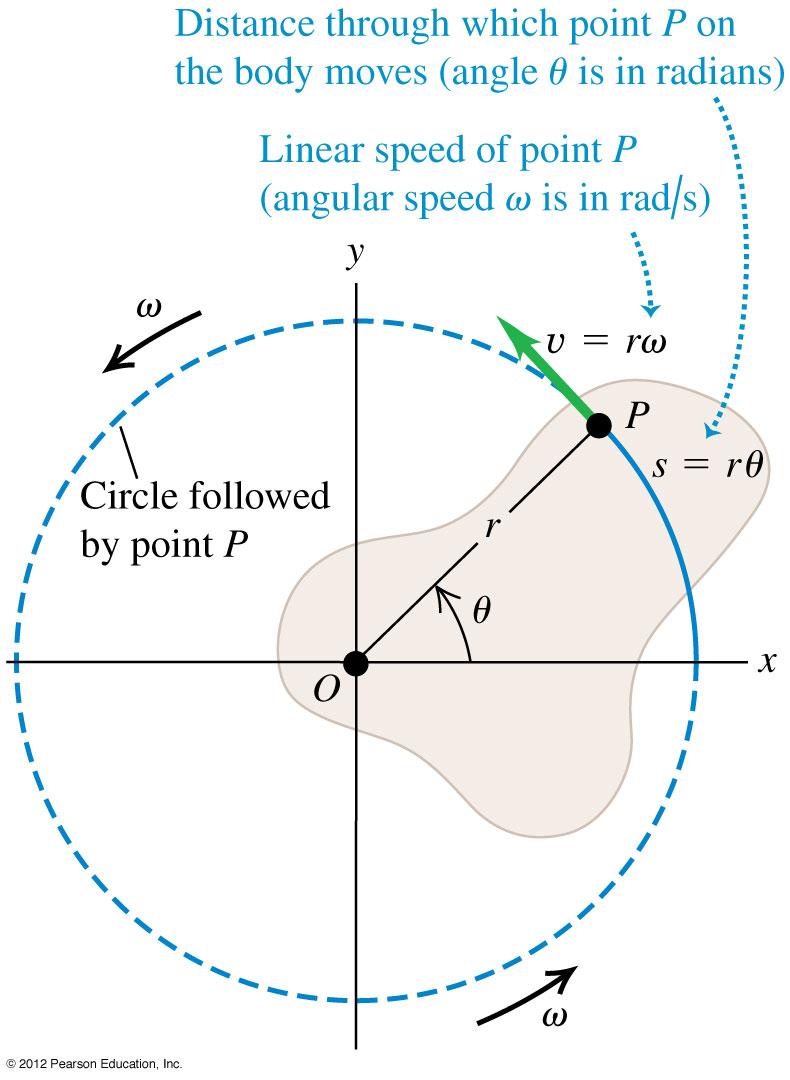 Lineaarinen vauhti rotaatiossa Usein on tarpeen tuntea lineaarinen vauhti ja kiihtyvyys pyörivän kappaleen osalle. Jäykän pyörivän kappaleen jokainen hiukkanen (pisteessä P kuvassa 9.