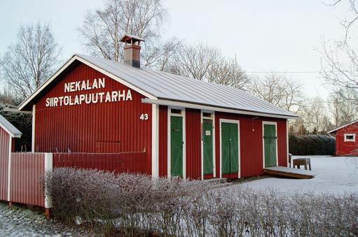 Puiden kuntotutkimus tehtiin marraskuussa, tällä kertaa tutkittiin Lehmustien lehmukset ja Pirtin pihan lehtikuuset. Tutkimuksen teki Tampereen kaupungin puuasiantuntija Heli Vuorilampi.