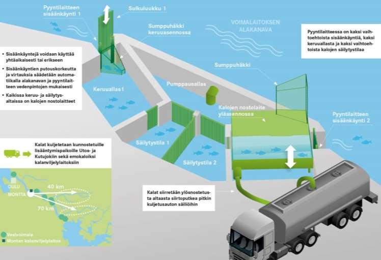 Vaelluskalojen kiinniottolaitteen suunnittelu Monttaan Toteuttaja: Fortum Power and Heat Oy Toteutusaika: 01/2015 12/2015 Kustannukset: 30 000 (ALV 0 %) Rahoittajat: Muhoksen, Utajärven ja Vaalan