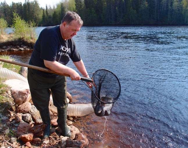 Montan patoaltaan virkistyskalastushanke 2014 Toteuttaja: Muhoksen kunta Toteutusaika: 1.1. 31.12.