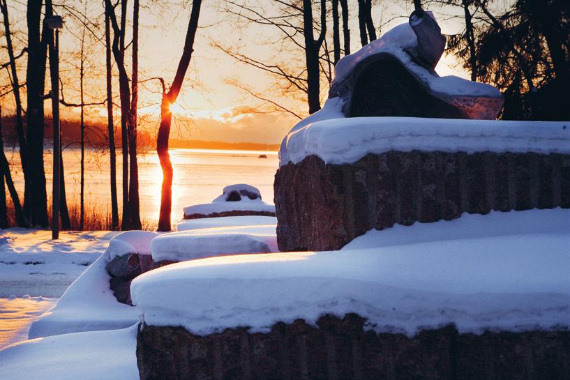 7. Hanasaaren taidetta kaikille HANASAAREN UUSI TAIDEPUISTO Kesä 2017 Hanasaaren taidepuisto avataan yleisölle vuoden aikana.