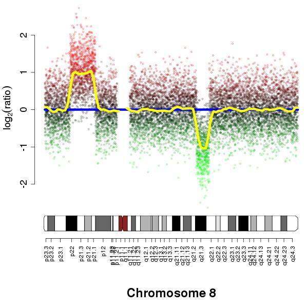 Reverse Transcription