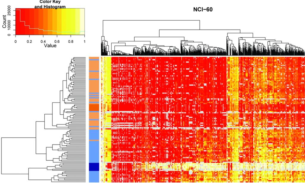 Replication DNA RNA RNA