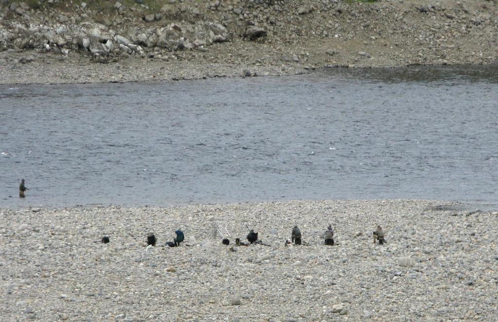 Kuva 13. Yksi perhokalastaja kerrallaan joessa, muut jonottavat vuoroaan Boratbokcan rantarivieeralla. Kuva Eero Niemelä. 5.4.