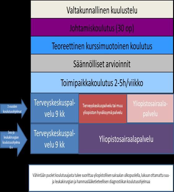 4 ERIKOISHAMMASLÄÄKÄRIKOULUTUKSEN SUORITTAMINEN 4.1 Käytännön palvelu ja toimipaikkakoulutus Erikoishammaslääkärikoulutuksen tulee olla suunniteltua ja ohjattua.