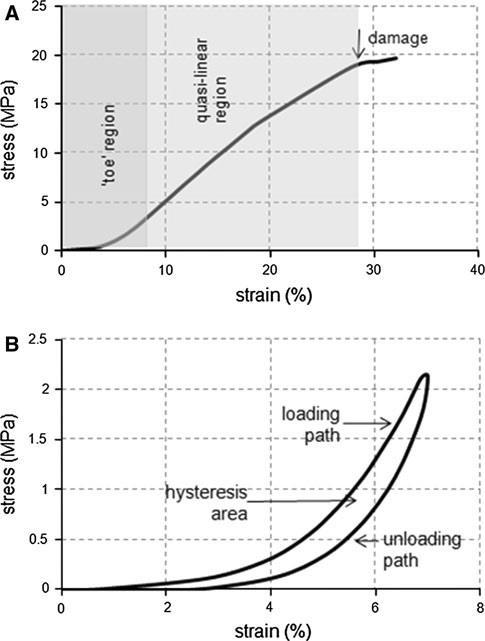 19 Kuva 4 Faskioiden viskoelastiset ominaisuudet: a) Tyypillinen jännitys-venymä - käyrä b) hystereesi (Stecco ym.