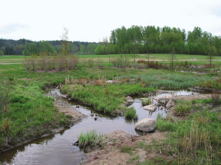 Hulevesien hallinta voi olla myös eräs purokunnostuksen tavoitteista.