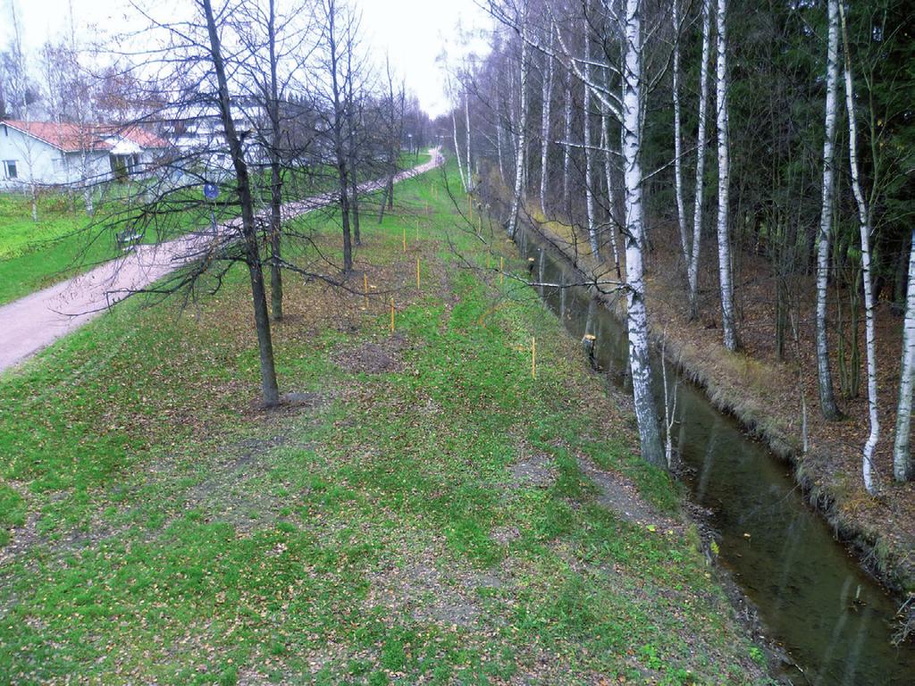 Longinojan uusi uomalinjaus merkittynä maastoon