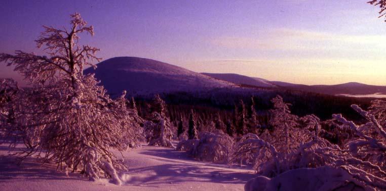 Toimintaympäristö: Pallas-Yllästunturin