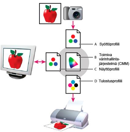 12 Method tai Color Manipulation Model, kaikkien kuitenkin tarkoittaessa käytännössä samaa asiaa. Ensin mainittu on kuitenkin parhaiten värinhallintajärjestelmän toimintaa kuvaava määritelmä.