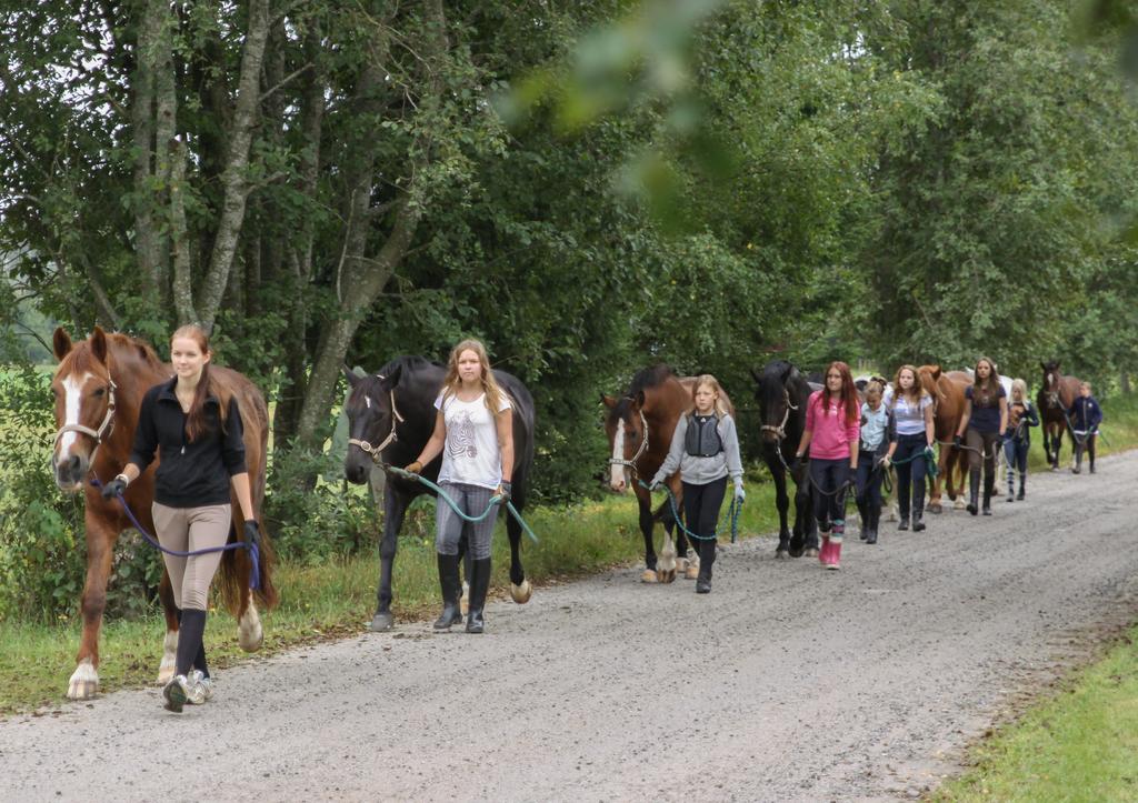 Muistilista ratsastusleirejä järjestävälle yrittäjälle Turvallisuus- ja kemikaalivirasto (Tukes) valvoo