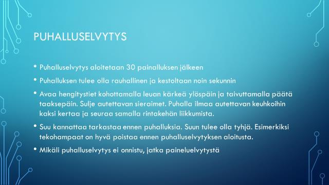 Liite 2.