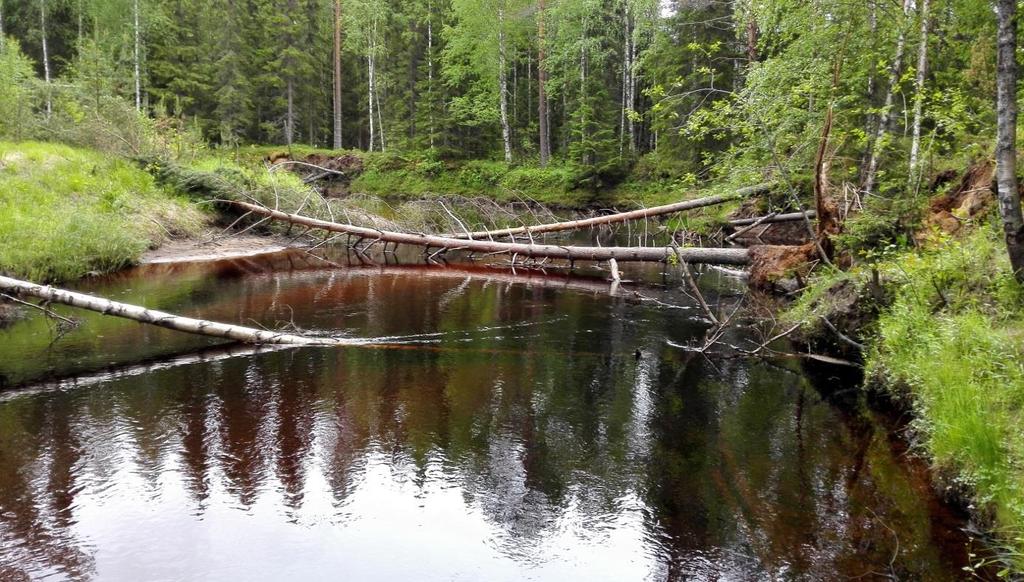 ja yksi Puolassa, jotka oli julkaistu englanniksi. Lisäksi kansallisilla kielillä oli julkaistu 8 tutkimusta (yksi tutkimus Latviassa, kaksi sekä Liettuassa että Puolassa ja kolme Suomessa).