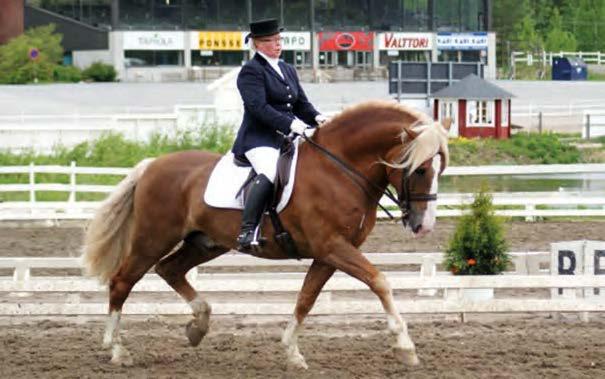 Astutustiedot Astutusmaksu 250, varsamaksu 620, hoitomaksu 13. (Kaikki hinnat sis. alv 24 %) Ori astuu luomuna Jyväskylän ratsastuskoululla.