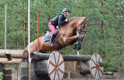 fi Esittely Jalopeno on I palkinnon jalostusori. Japella on erinomainen ratsastettavuus ja kokoamiskyky, liikkuu ylämäkeen luonnostaan.