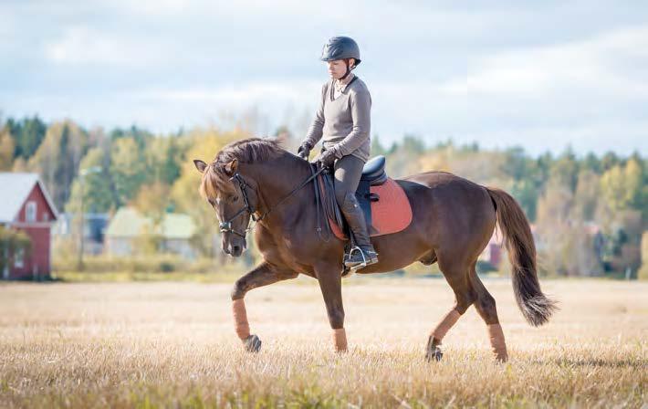 RINKKI TUULIA NELIMARKKA Rinsse 1914-85 Paunutar 1167-97 Tosi-Pinko 1613-75 Jonika 808-72 Piston Varjo 2799-91 Paunu 1508-82 Toli Eri-Musta Jonne Sävel Vika-Pisto Vilkin-Tyttö Ero-Ponsi Sorina