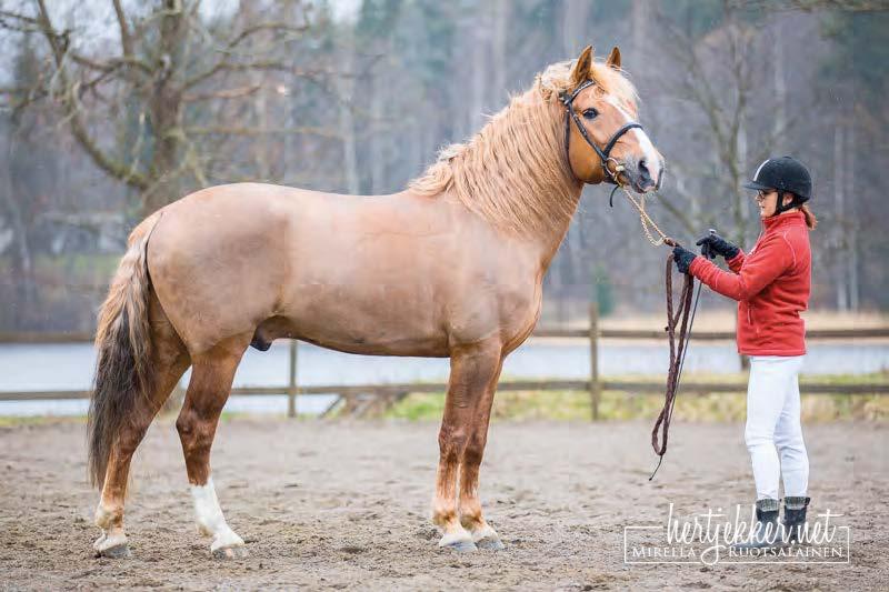 SUMUN LORDI MIRELLA RUOTSALAINEN Linkker 1230-93 Surillon Sumu 2216-92 Mikker 1328-83 Vekselinda 1316-80 Surillo 1119-79 Liidoste 147-74 Vokker Miina Vekseli Sirvamus Suhari Murilo Aaviste