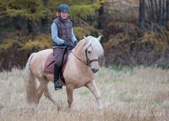 Astutustiedot Ori astuu luomuna Luumäen Sarkalahdessa. Astutus 250 (sis. alv 24 %) Varsamaksu 400 (ei alv) Yhteystiedot: Tuula Vanhalakka puh. 0400 5802 063 sähköposti tuula@tuuvan.net kotisivut www.