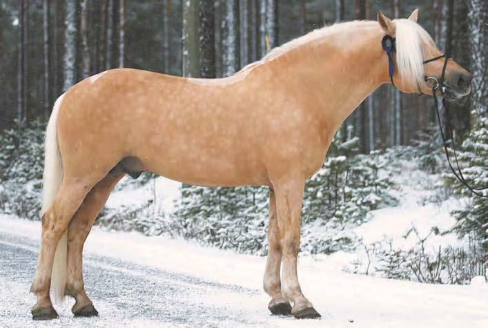 VOIVEIKKO ESSI PERTTULA Tähti-Tili 1240-94J Halokeeni 2077-84JR Vokker 662-72J Valio Purton-Tähti 1914-80J Valio Holotna 1490-76J Eri-Loikko 1313-75J forte Halla (valio) vejani purto vilu lilli Erilo