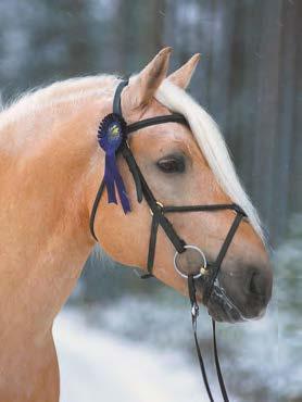 Astutustiedot Ori astuu luomuna. Myös kotikäynnit mahdollisia. Voiveikko astuu Huittisissa Anna-Mari Majakulman tallilla tulevan kesän. Astutusmaksu 310 Varsamaksu 620 (hinnat sis.
