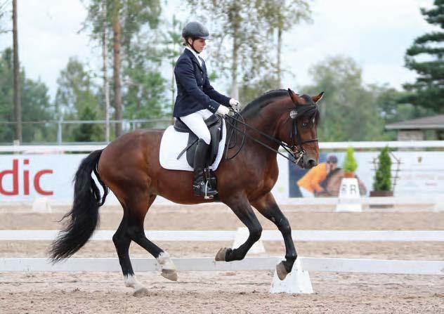 Astutustiedot Varsamaksu: 400 (alv:ton 4 ) Oritta koskevat tiedustelut: Päivi Laine, 040 8607601 Susanna Frey 040-8607 619 Siittolamaksuja koskevat tiedustelut ja varaukset: www.hevosopisto.