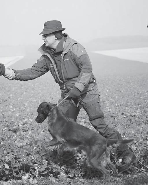 Punaisten irlanninsettereiden European International Irish Red Setter Club (I.I.R.S.C.) järjestää vuosittaiset kevätkokeet Ranskassa. Kilpailupaikkana on Moncetz-Longevas Champagnen alueella.