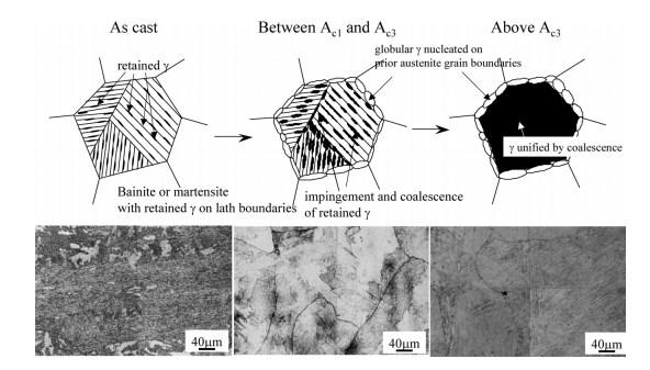 84 Kuva 33: Skemaattinen esitys ja SEM-kuvat muisti-ilmiön muodostumisesta (Hara et al. 2009) Kuten kuvasta 33.