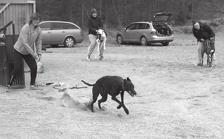 Toisten suorituksia seurattiin innokkaasti. Tunnelma harjoituksissa oli hyvä ja kaikki sujui kuin rasvattu.
