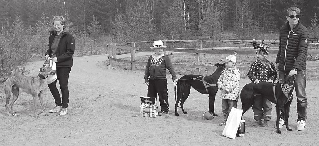 Greyhoundien voittajakolmikko Sinko (oik), Kyy ja Stefu rotuisten kisailua huikean seitsemän koiran verran.