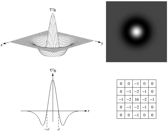 REUNOJEN YHDISTELY 103 Kuva 10.3 Laplacian of Gaussian (LoG) -funktio. Vasemmalta ylhäältä: 1. Funktion 3- ulotteinen kuvaaja 2.