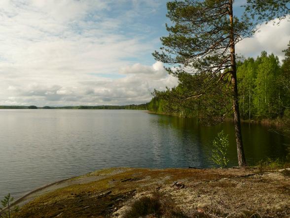 1 Konnevesi Pukarajärven