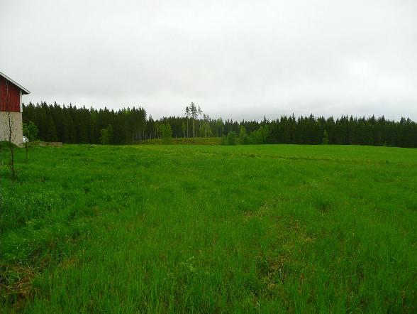 11 Löytöpaikat Nämä eivät ole kiinteitä muinaisjäännöksiä eli suojelukohteita. KONNEVESI 119 PAKARLAHTI Rauh.