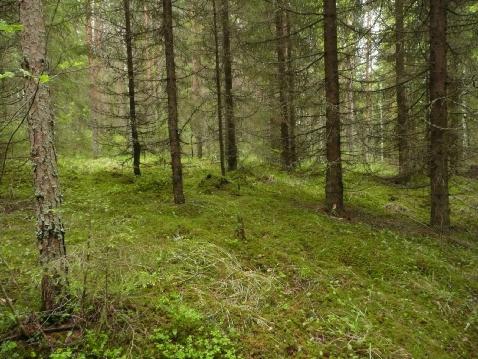 Rajaus hyvä löytöjen, maaperän ja topografian perusteella.