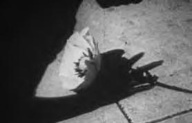 00 HÄLLÄ L/H/116 SUB: ENG PAPAGENO MESHES OF THE AFTERNOON ILTAPÄIVÄN PAULAT L OPÉRA-MOUFFE Germany Saksa 1935 Animation 11 min 35 mm b&w Director: Lotte Reiniger Script: Lotte Reinger, Carl Koch