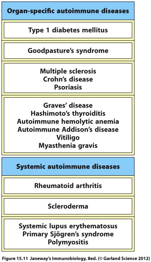 sisällään autoimmuniteetin riskin: