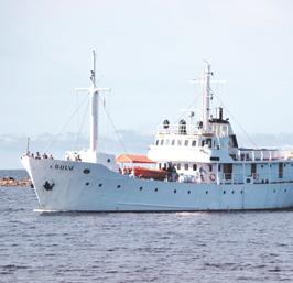 Kurssin sisältö pohjautuu pitkälti kurssilaisten toiveisiin. Alustava ilmoittautuminen sähköpostiosoitteeseen: sailingteamoulu@gmail.