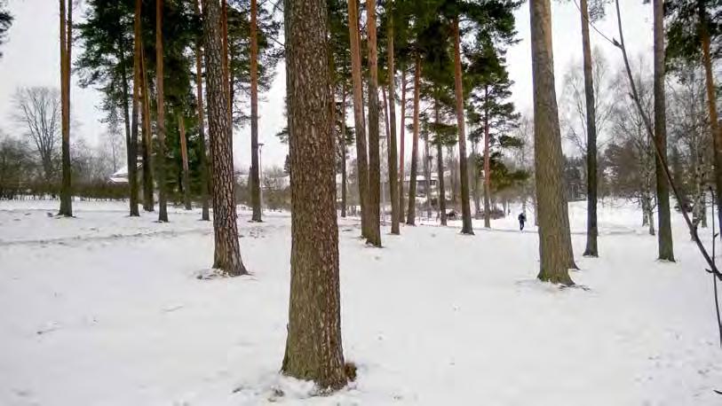 puistojumppaa. Tartonpuisto Tapiolanpuiston jatkeena,takahuhdinkadun ja Hakametsän jäähallin välissä, sijaitseva Tartonpuisto on osa Kissanmaan ja Uudenkylän välistä kaupunginosapuistoa.