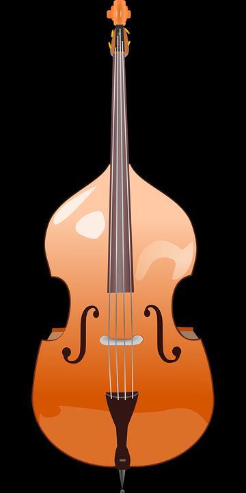 Kontrabasso Kontrabasso yleistyi vasta 1700-luvulla. Se on saanut piirteitä sekä viulusta että 1400-luvulla kehitetystä gambasta.