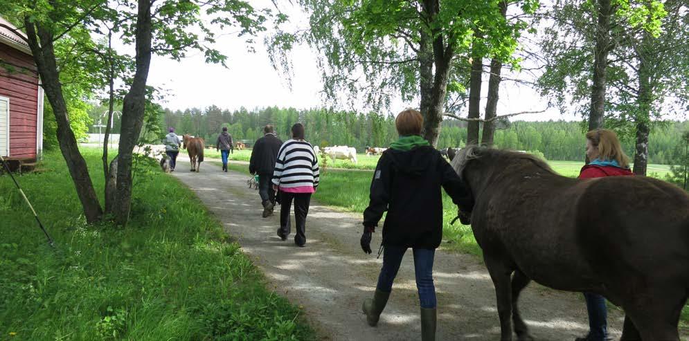 Kotilo ry on Savonlinnassa toimiva yhdistys, joka tarjoaa sosiaalipsykiatrista kuntoutusta ja asumispalvelua 35 mielenterveyskuntoutujalle.