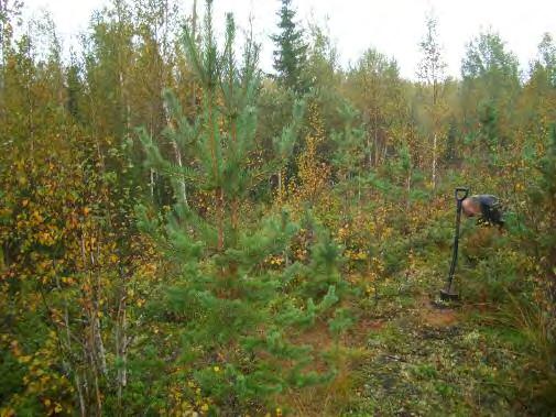 24 Asuinpaikan maastoa, kuvattu kaakkoon. MUHOS 97 KARHO-OJANKANGAS 4 Rauh.