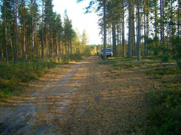 puolin pääosin oik.