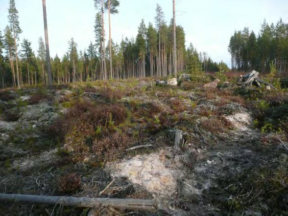 lk: Ajoitus: Laji: 3 (ei esitetä suojelukohteeksi) ajoittamaton tunnistamaton kuoppa