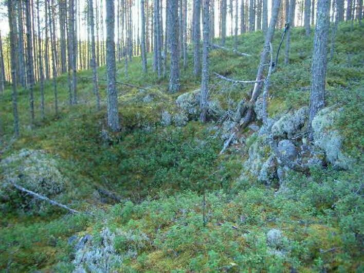 16 TYRNÄVÄ 67 REUNASUO 2 Rauh.lk: 2 Ajoitus: historiallinen (?